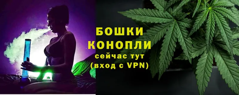 Шишки марихуана Ganja  Нолинск 